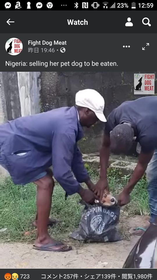 アフリカ：ナイジェリア　自分の犬を食用に売る女