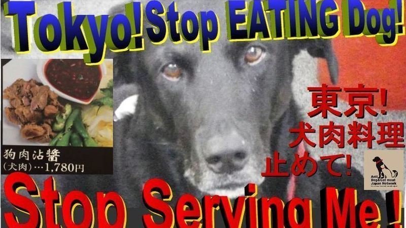 【署名】東京！犬肉料理は止めて！