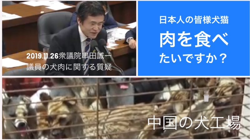【署名】日本犬肉・犬肉輸入禁止を政府に陳情！