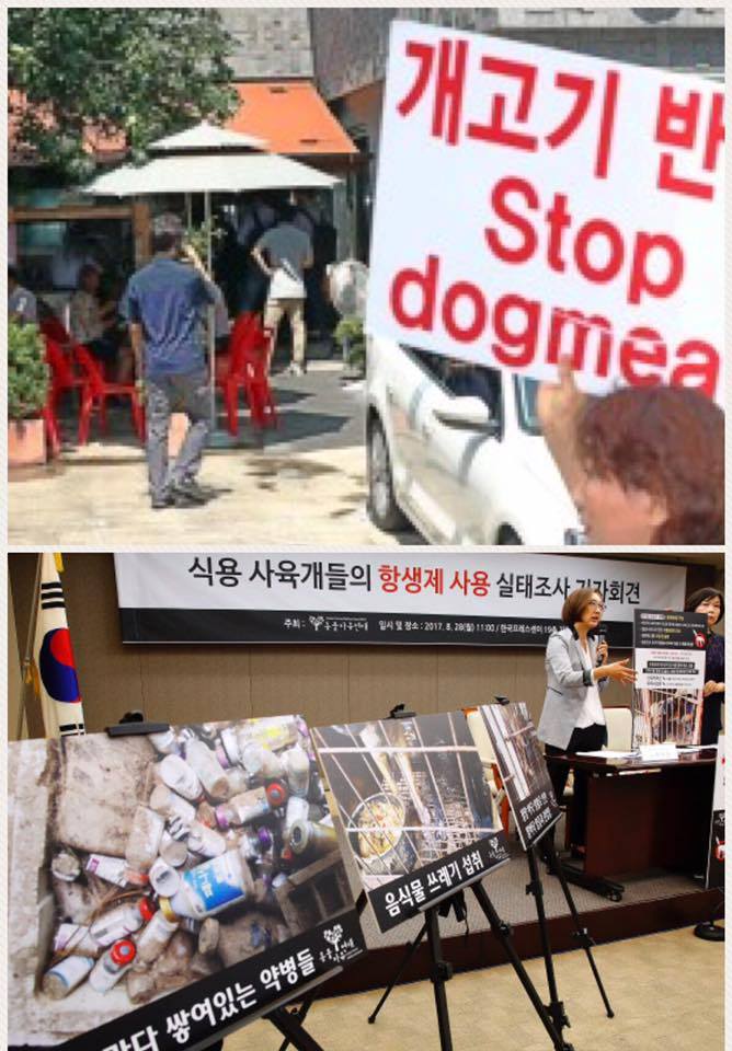 クリック：韓国初の犬肉調査！