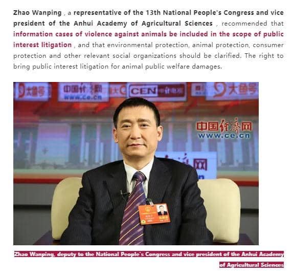 中国：動物虐待事件だらけの中、NPC委員は法的処罰を提案‼