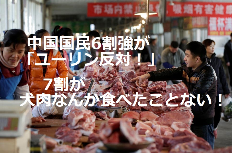 中国：犬猫食文化　多くの国民が反対！